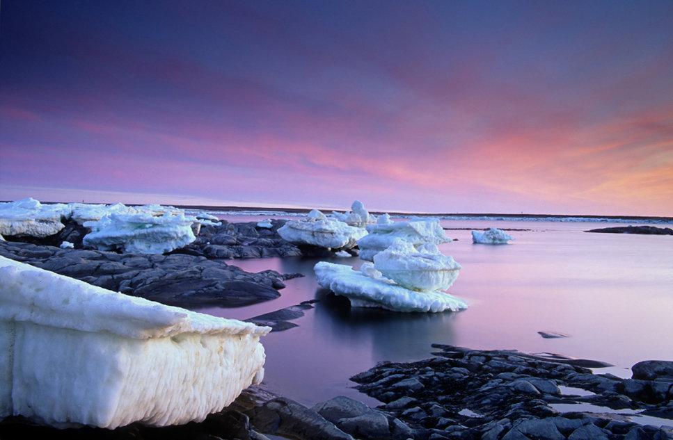 Bear Country Inn Churchill Bagian luar foto