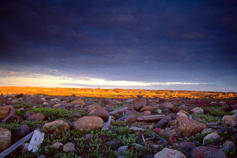Bear Country Inn Churchill Bagian luar foto